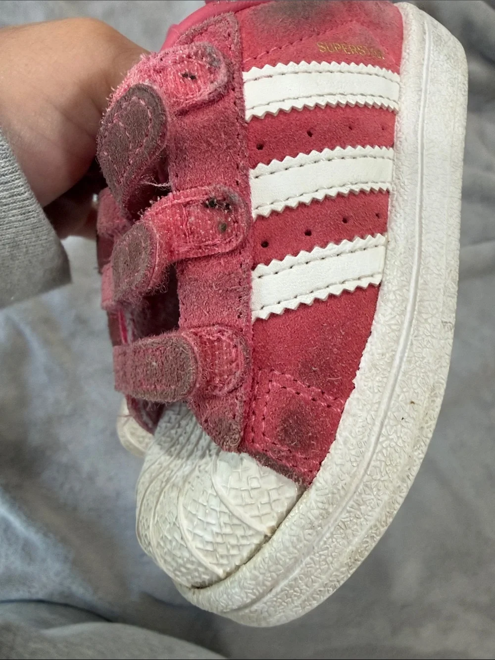 adidas superstar with Velcro toddler 6